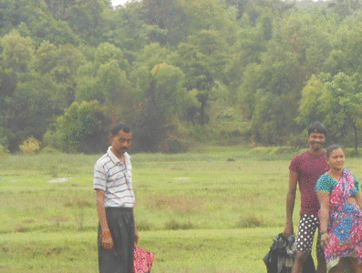 भात लागवडीची ‘श्री’ पद्धत