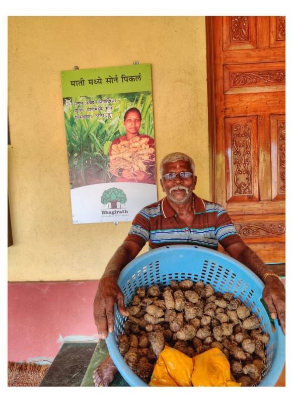 Turmeric Plantation 3_1&n