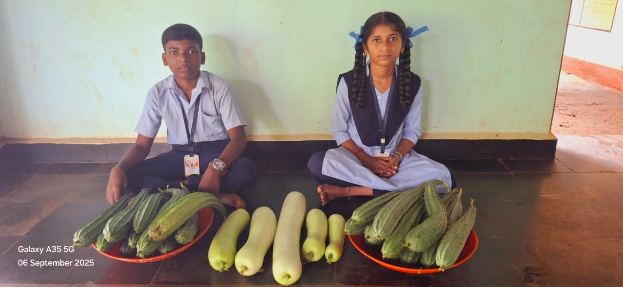 Bhadgaon Vidyala2