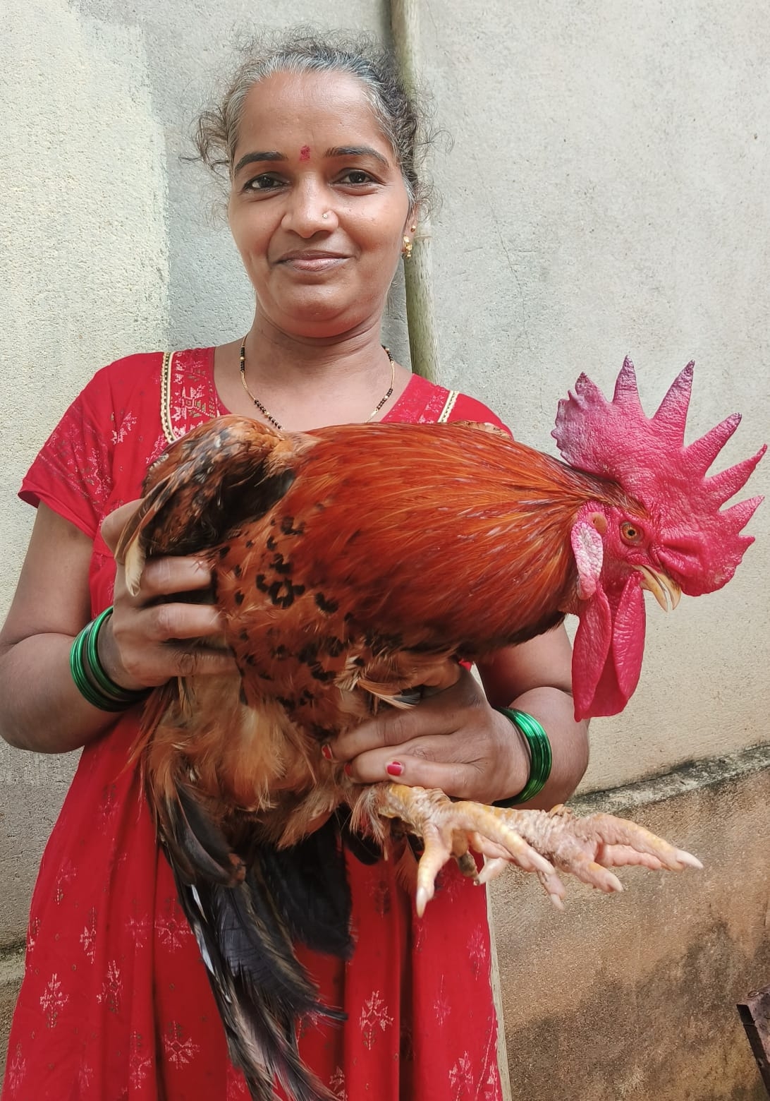 Poultry1